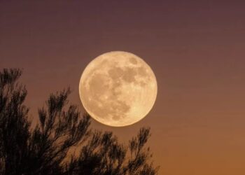 Comienza la temporada de superlunas: la primera será este lunes 19 de agosto