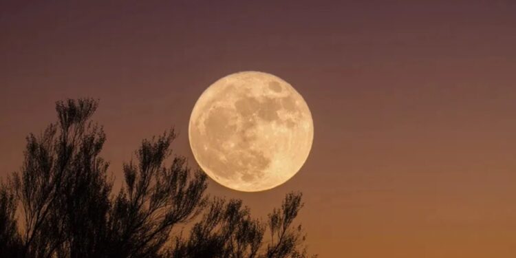 Comienza la temporada de superlunas: la primera será este lunes 19 de agosto