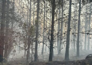 Sigue activo el mayor incendio forestal en Ecuador de los últimos años; Colombia envía apoyo