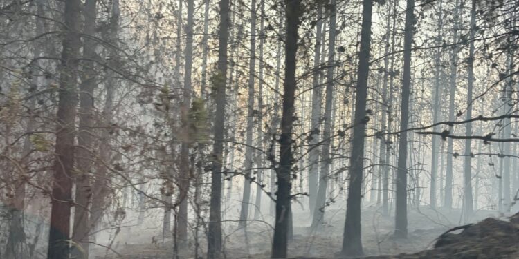 Sigue activo el mayor incendio forestal en Ecuador de los últimos años; Colombia envía apoyo
