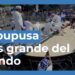 El Récord Guinness de la pupusa más grande del mundo se alcanzó en Washington DC