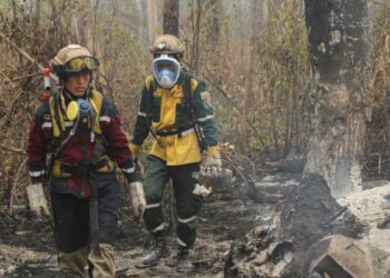 se contabilizan más de 346.000 en lo que va del año