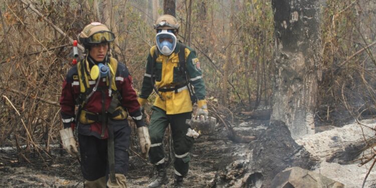 se contabilizan más de 346.000 en lo que va del año
