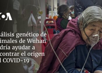 Análisis genético de animales de Wuhan podría ayudar a encontrar el origen del COVID-19