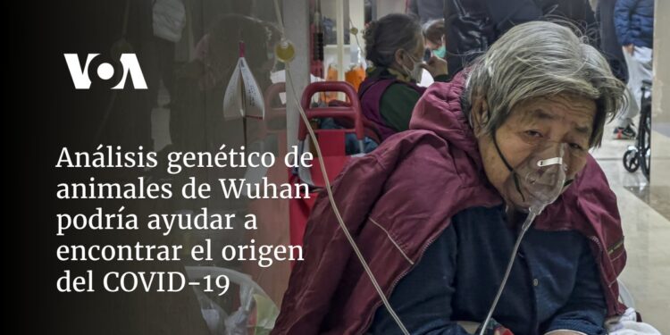 Análisis genético de animales de Wuhan podría ayudar a encontrar el origen del COVID-19