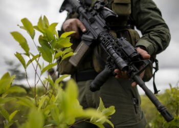 Washington aprueba el desempeño de Colombia en la lucha contra las drogas