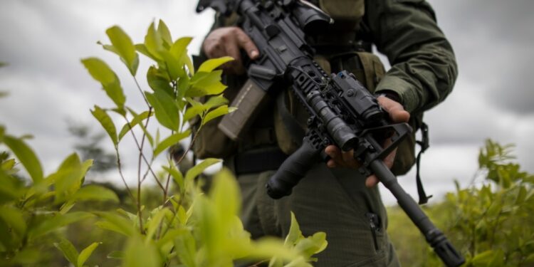 Washington aprueba el desempeño de Colombia en la lucha contra las drogas