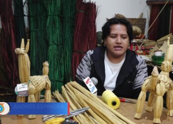 La totora: la planta que intenta rescatar la identidad de los pueblos indígenas ecuatorianos