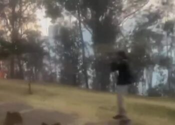 Capital ecuatoriana enfrenta emergencia por incendios presuntamente “provocados”