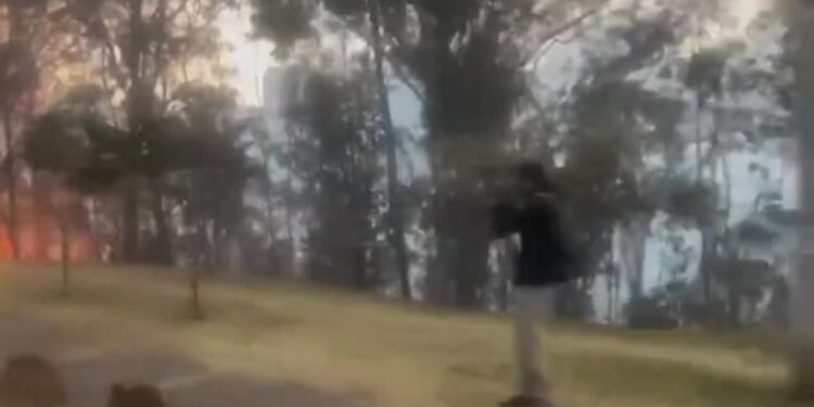 Capital ecuatoriana enfrenta emergencia por incendios presuntamente “provocados”