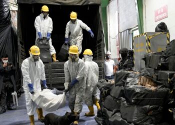 Ecuador incauta hasta septiembre 204 toneladas de droga, cerca del promedio de los últimos tres años