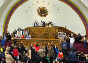 AN chavista calificó como una «grosera intromisión» el reconocimiento del Parlamento Europeo a Edmundo González