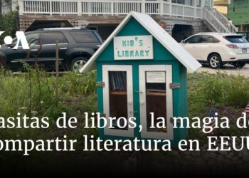 Casitas de libros, la magia de compartir literatura en EEUU
