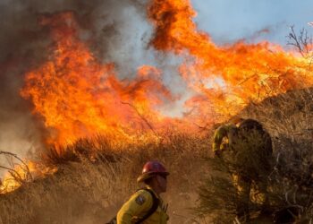 Desde hace varios días, el sur de California ha sido castigado por varios e intensos incendios forestales que se han propagado sin control