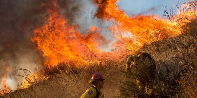 Desde hace varios días, el sur de California ha sido castigado por varios e intensos incendios forestales que se han propagado sin control