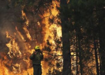 Ecologistas en Bolivia lamentan la lentitud del gobierno en actuar frente a los incendios