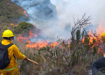 Sube a 20 el número de muertos en los incendios forestales de Perú