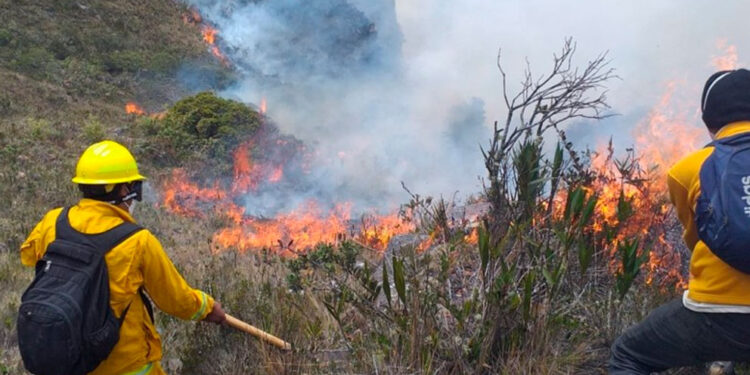 Sube a 20 el número de muertos en los incendios forestales de Perú