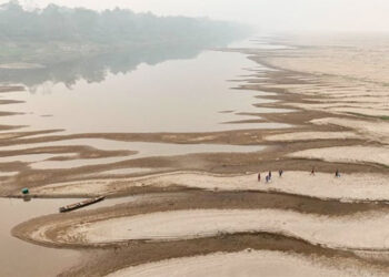 Los niveles de agua en el Amazonas están mínimos históricos por la sequía prolongada