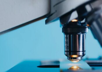 la nueva preocupación de la salud pública en el mundo