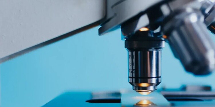 la nueva preocupación de la salud pública en el mundo