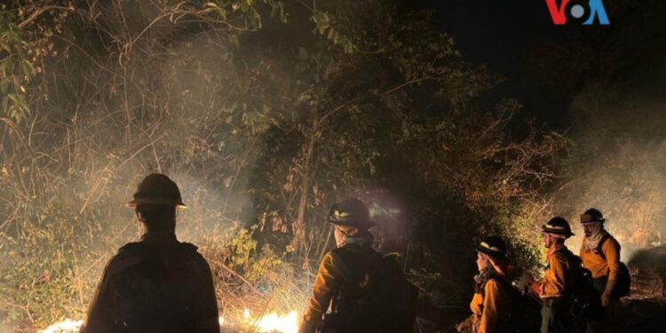 Bolivia consumida por incendios abre el debate sobre polémicas leyes