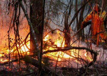 Brasil combate incendios masivos en medio de sequía sin precedentes