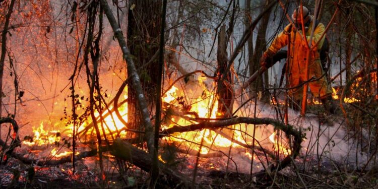Brasil combate incendios masivos en medio de sequía sin precedentes