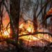 Brasil combate incendios masivos en medio de sequía sin precedentes