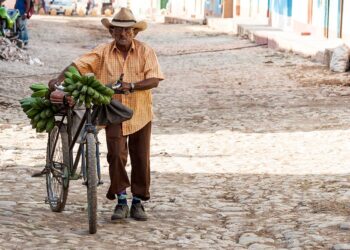 La comida es cada vez más escasa; el régimen admite que no hay café, aceite, arroz ni azúcar