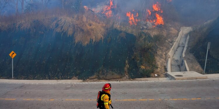 Suspensión de clases y decenas de personas evacuadas en Quito por incendios forestales