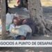 Comerciantes amenazan a la ciudad de Los Ángeles con cerrar sus negocios