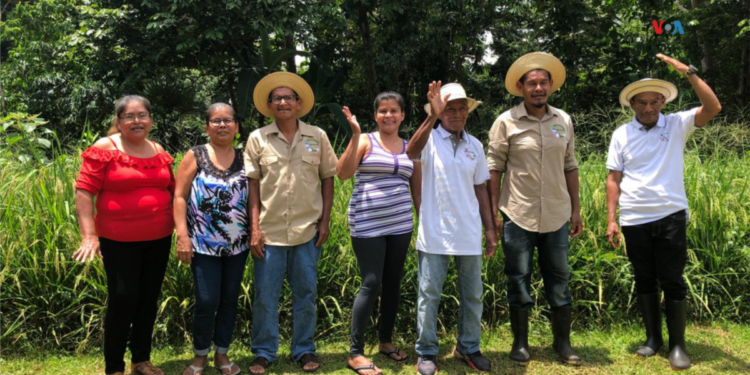 Los rostros detrás de la «ruta del café» para proteger el recurso hídrico del Canal de Panamá