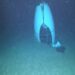 Material del sumergible en expedición al Titanic tenía defectos de fábrica