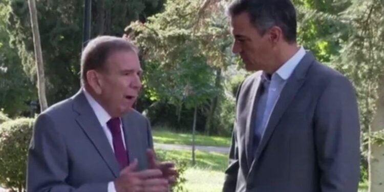 Buscan el reconocimiento de Edmundo González Urrutia en la Eurocámara