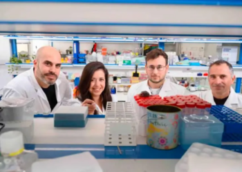 Científicos desarrollan un nuevo anticuerpo para combatir el cáncer