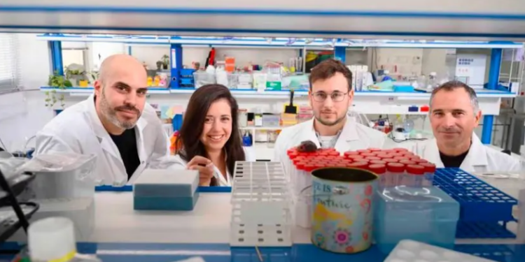 Científicos desarrollan un nuevo anticuerpo para combatir el cáncer