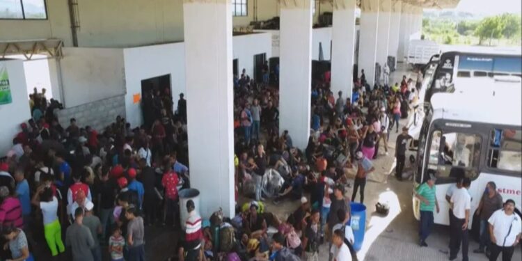 Colorado desprotegido por la administración Biden-Harris se organiza para repeler al Tren de Aragua