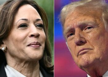 Cubanos optan por Trump o Kamala de acuerdo a sus intereses