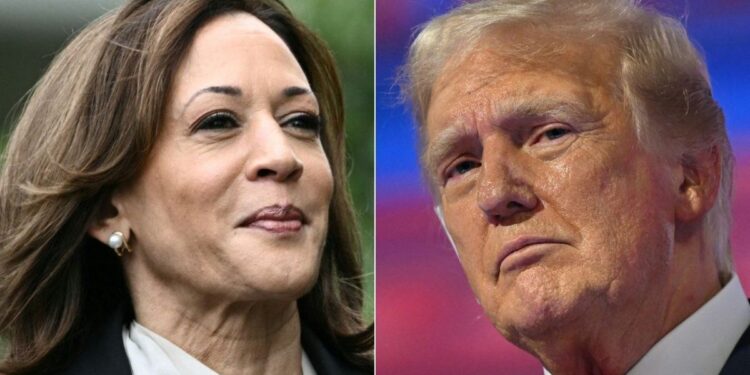 Cubanos optan por Trump o Kamala de acuerdo a sus intereses
