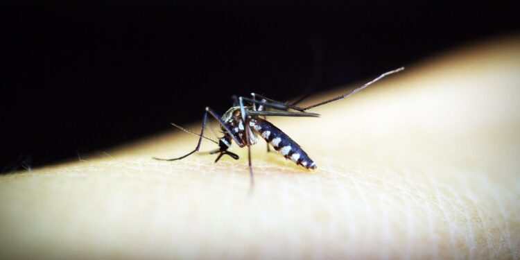 Canadá recomienda extremar precauciones en viajes a Cuba