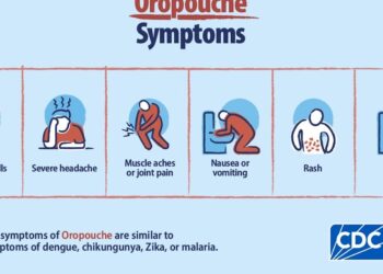 Cuba azotada por la epidemia de la fiebre de Oropouche