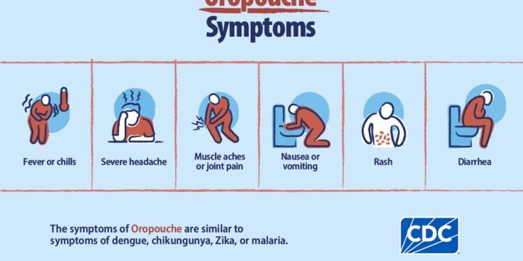 Cuba azotada por la epidemia de la fiebre de Oropouche