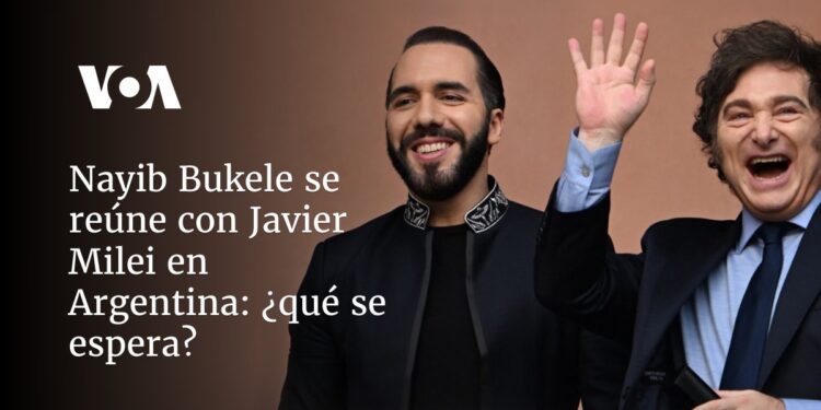 Nayib Bukele se reúne con Javier Milei en Argentina ¿Qué se espera del encuentro?