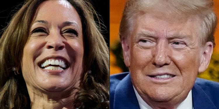 Encuesta de Reuters/Ipso otorga una corta ventaja a Kamala Harris en la intención de voto