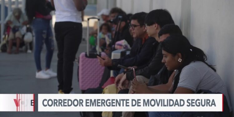 México traslada a cientos de migrantes con cita CBP One a la frontera norte