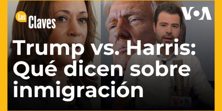 Las propuestas de Trump y Harris sobre inmigración, la frontera y deportaciones