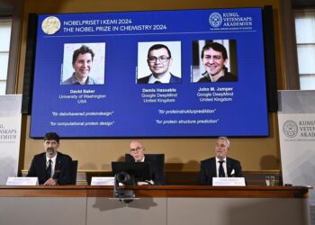 El premio Nobel de Química 2024 fue otorgado a David Baker, Demis Hassabis y John Jumper