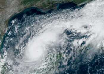 EEUU AL DIA | 10/07/2024