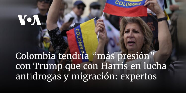 Colombia tendría “más presión” con Trump que con Harris en lucha antidrogas y migración: expertos